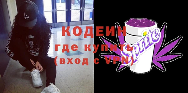 молекула духа Козельск