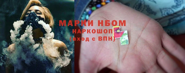 гидра Козловка