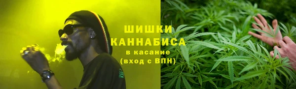 гидра Козловка