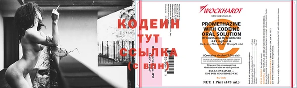 молекула духа Козельск