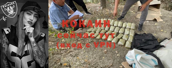 гидра Козловка