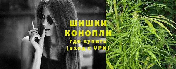 молекула духа Козельск