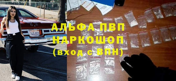 молекула духа Козельск