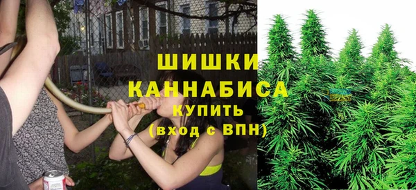 молекула духа Козельск