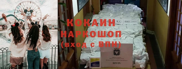 молекула духа Козельск
