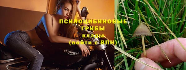 спайс Кодинск